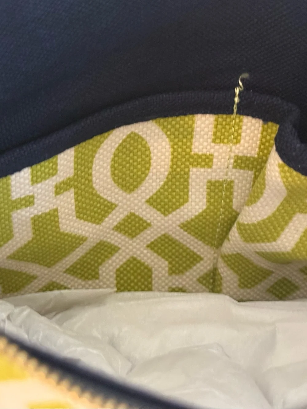 Spartina 449 Heyward Dixie Hobo Bag Lime Green White NWT